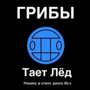 Грибы - Тает лёд (russian disco remix) - фото