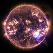 Pitilim - Sytrus - фото