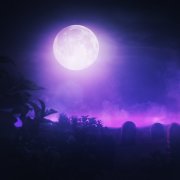 ExWave - knof - фото