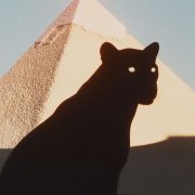 liberte - Move you head