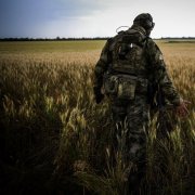 Габен - Поле боли - фото