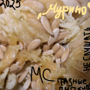 МС грязные пупки - Мурино