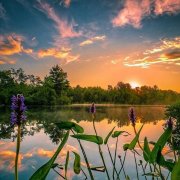 V@ссТаниЕ - Летний вечер - фото