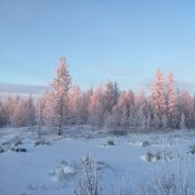 Снова снег Русаков Григорий - фото