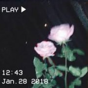 uxopka69 & uvknowls - ЦВЕТОК