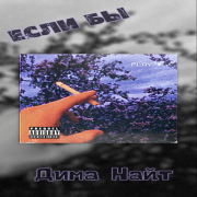 Дима Найт - Если бы - фото