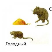 Sеrgeich Сытый голодного не поймет