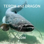 TEROM and DRAGON-сом