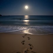 Cobalt - Тишина