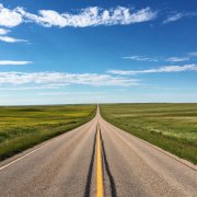 Neuro-Polyglot - Endless Prairie Roads