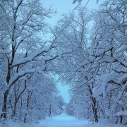 Милый Варий- Холоднее чем утром осень