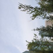 Naiman - фото