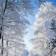 Эх мороз красный нос