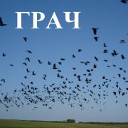 PhVKK - Грач