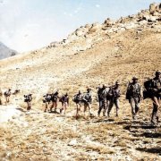 Бакань - Охота на караваны