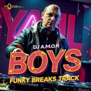 DJ A.M.O.R. - Boys ( funky breaks Track)