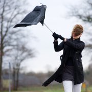 Бакань - Ветер-бродяга