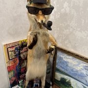 Roms- Темная Москва. - фото