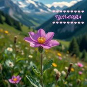 SerPol - для Гульсиры [for Gulsira]