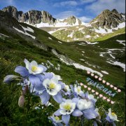 SerPol - для Гульсиры (2) [for Gulsira (2)]