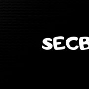 «SECBES» - Аисты (гитара) - фото