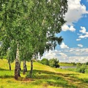 Небесная рать