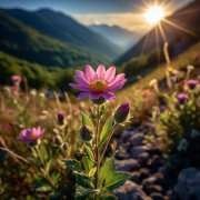 SerPol - Reach for the Sky [Дотянуться до неба]