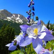 SerPol - Reach for the Sky (2) [Дотянуться до неба (2)]