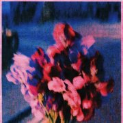 TovaNimrais - your fall lower