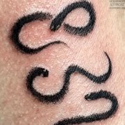 IMONKEY - 831 - фото