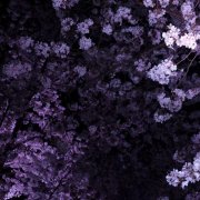 NIKA76NYAH - Im lose control