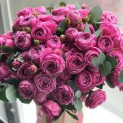 SerPol - Ma Reine, Ma Mère [Моя Королева, Моя Мама]