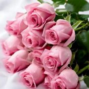 SerPol - Ma Reine, Ma Mère (2) [Моя Королева, Моя Мама (2)]