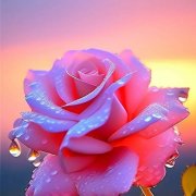 SerPol - Crois en toi, Gulsira (5)_Верь в себя, Гульсира (5) - фото