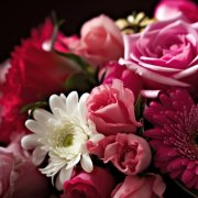 SerPol - Ритм моей души [The rhythm of my soul]