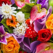 SerPol - Ритм моей души (2) [The rhythm of my soul (2)]