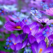 SerPol - Built By You (3) [Построенное Тобой (3)] - фото