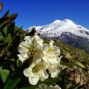 SerPol - Reach for the Sky (3) [Дотянуться до неба (3)]