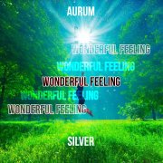 Aurum Silver - Wonderfull Feeling