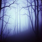 Serpents of the Night - фото