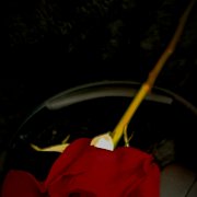 Комунадототпоймет - фото