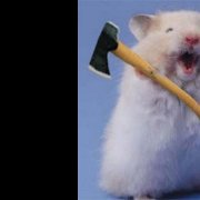 Daniil A. - Хомяк Макафоний - фото