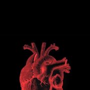 nessii - наша встреча - фото