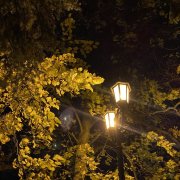 nessii - наша встреча - фото