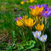 SerPol - Моё наследие (2) [My legacy (2)]