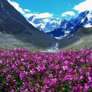 SerPol - Я всё придумала - фото