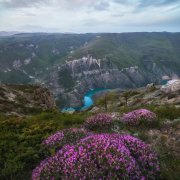 SerPol - Я всё придумала (2)