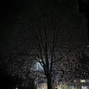 покаживой - opiumxx × just friends - фото