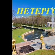 mandrakov_sir62 - Цветы на ветру - фото
