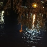 g11lin4ik - Холодный вечер уютный дом